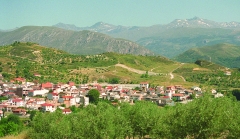 VER FOTO