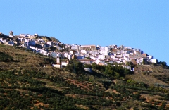 VER FOTO